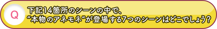 下記14箇所のシーンの中で、“本物のアネモネ”が登場する7つのシーンはどこでしょう？